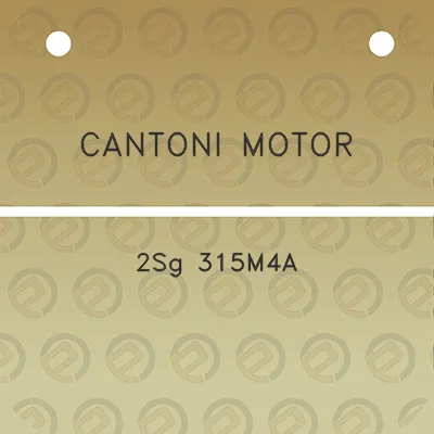 cantoni-motor-2sg-315m4a