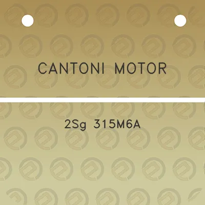 cantoni-motor-2sg-315m6a