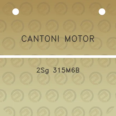 cantoni-motor-2sg-315m6b