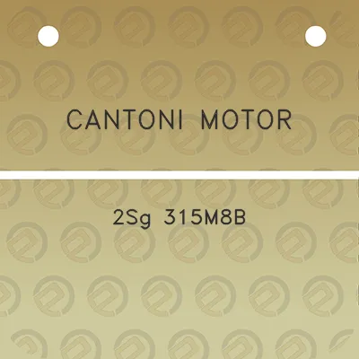 cantoni-motor-2sg-315m8b