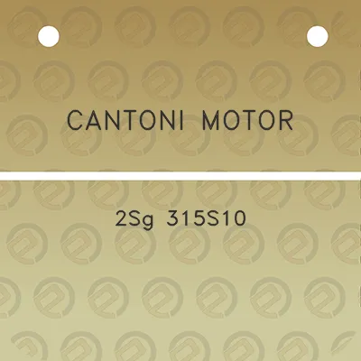 cantoni-motor-2sg-315s10