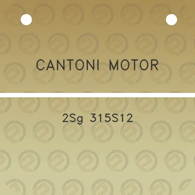 cantoni-motor-2sg-315s12