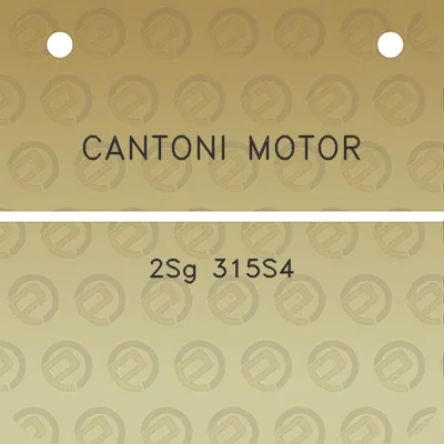 cantoni-motor-2sg-315s4