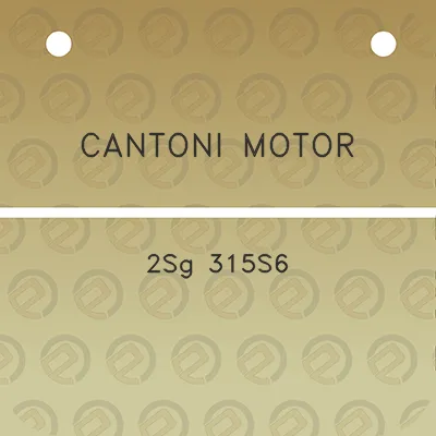 cantoni-motor-2sg-315s6