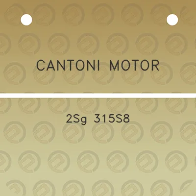 cantoni-motor-2sg-315s8