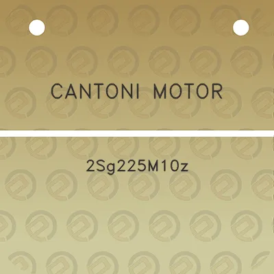 cantoni-motor-2sg225m10z