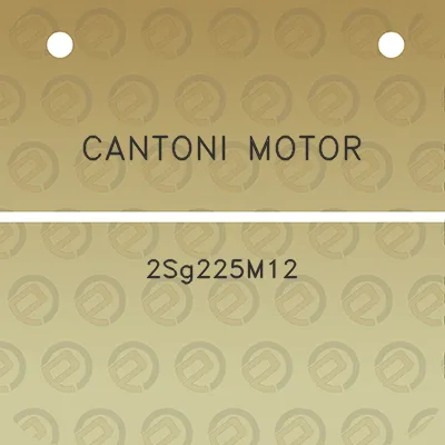 cantoni-motor-2sg225m12