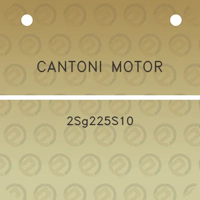 cantoni-motor-2sg225s10