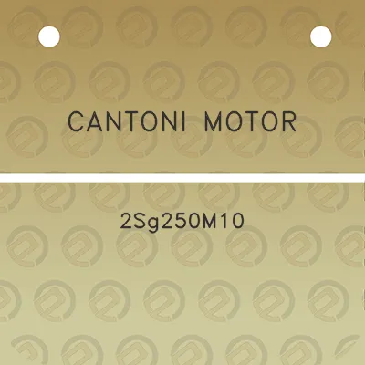 cantoni-motor-2sg250m10