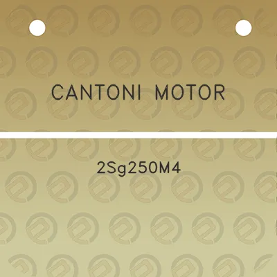 cantoni-motor-2sg250m4