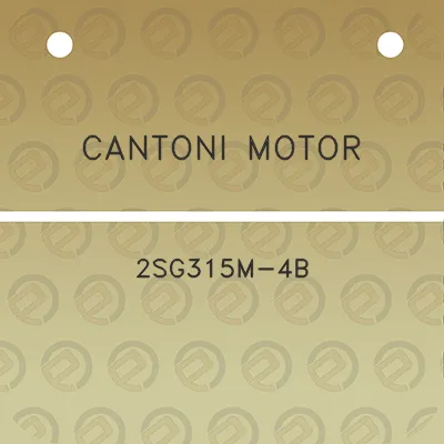 cantoni-motor-2sg315m-4b