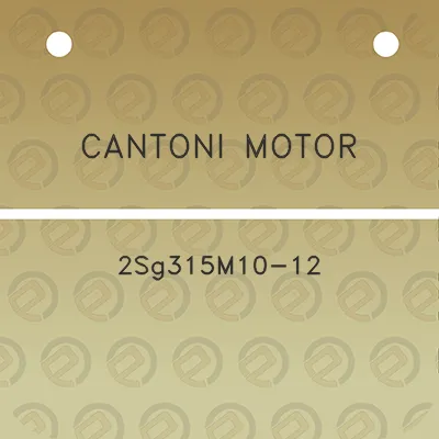 cantoni-motor-2sg315m10-12