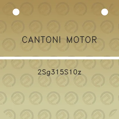 cantoni-motor-2sg315s10z