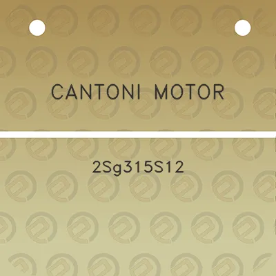 cantoni-motor-2sg315s12