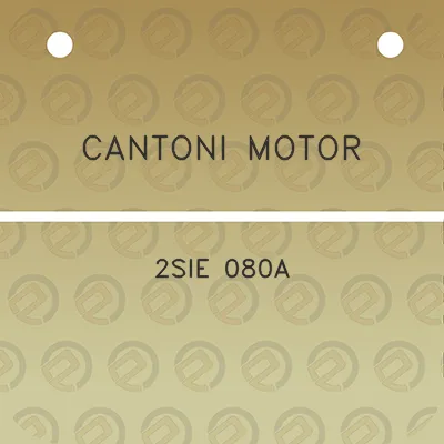 cantoni-motor-2sie-080a