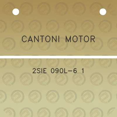 cantoni-motor-2sie-090l-6-1