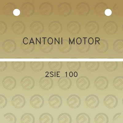 cantoni-motor-2sie-100