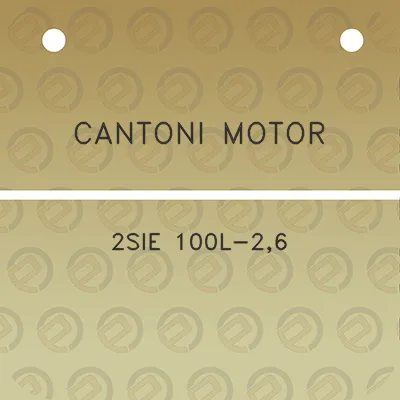 cantoni-motor-2sie-100l-26