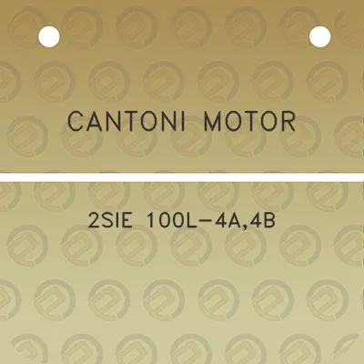 cantoni-motor-2sie-100l-4a4b