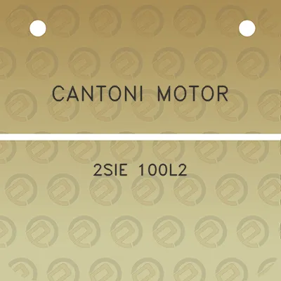 cantoni-motor-2sie-100l2