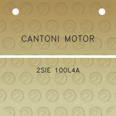 cantoni-motor-2sie-100l4a