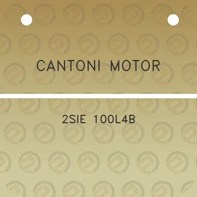 cantoni-motor-2sie-100l4b