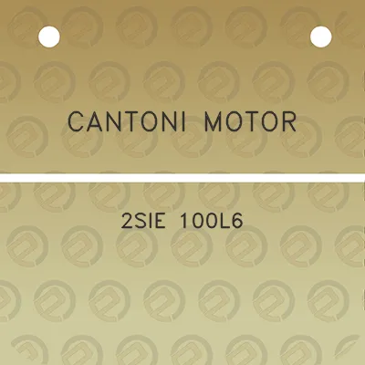 cantoni-motor-2sie-100l6