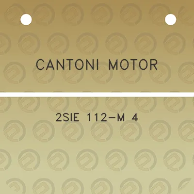 cantoni-motor-2sie-112-m-4