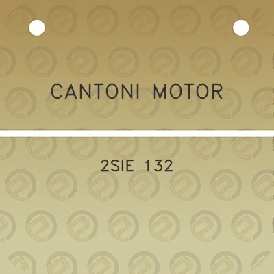 cantoni-motor-2sie-132