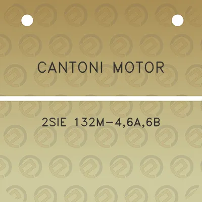 cantoni-motor-2sie-132m-46a6b