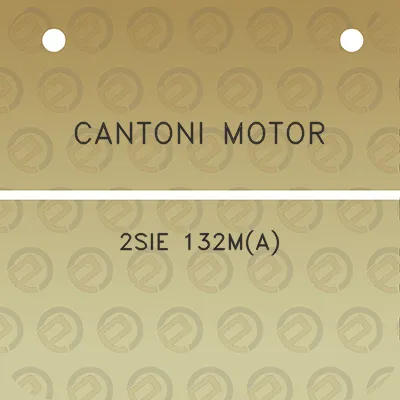 cantoni-motor-2sie-132ma