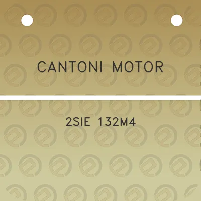 cantoni-motor-2sie-132m4