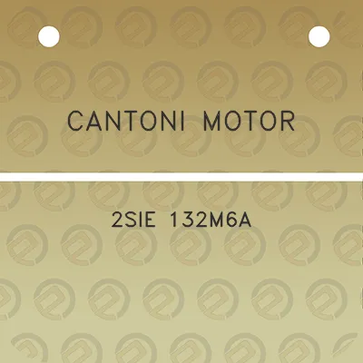 cantoni-motor-2sie-132m6a