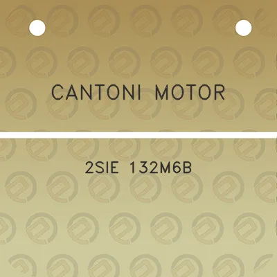 cantoni-motor-2sie-132m6b