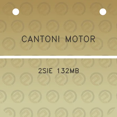 cantoni-motor-2sie-132mb