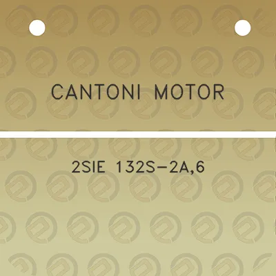 cantoni-motor-2sie-132s-2a6