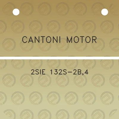 cantoni-motor-2sie-132s-2b4