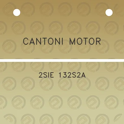 cantoni-motor-2sie-132s2a