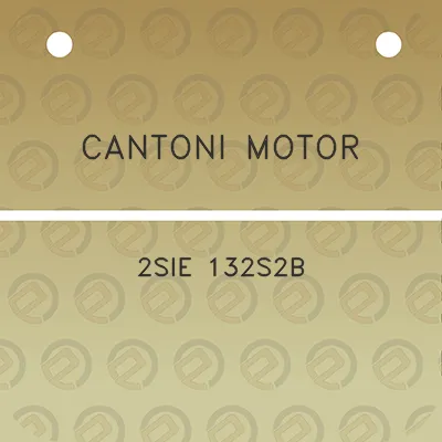 cantoni-motor-2sie-132s2b