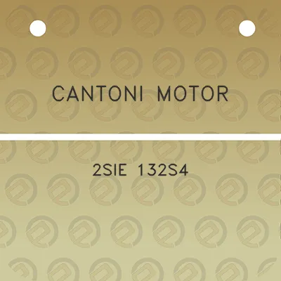 cantoni-motor-2sie-132s4