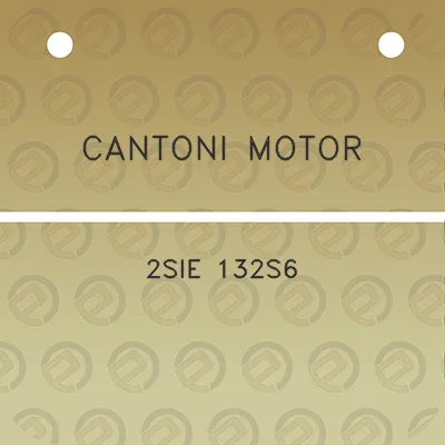 cantoni-motor-2sie-132s6