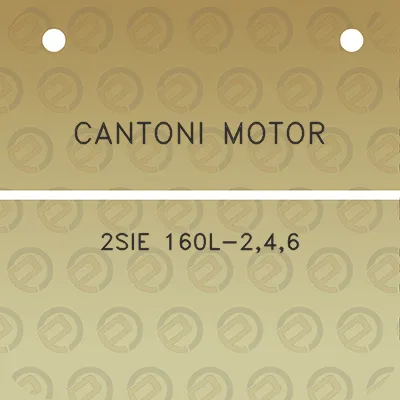 cantoni-motor-2sie-160l-246