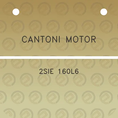 cantoni-motor-2sie-160l6