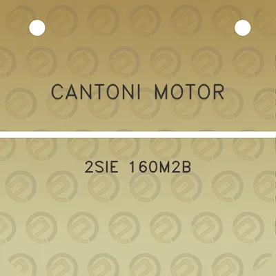 cantoni-motor-2sie-160m2b