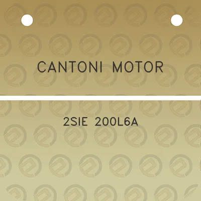 cantoni-motor-2sie-200l6a