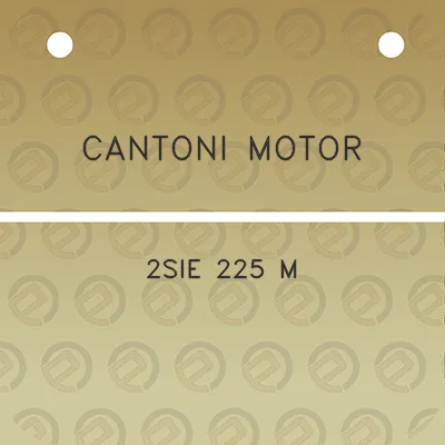 cantoni-motor-2sie-225-m