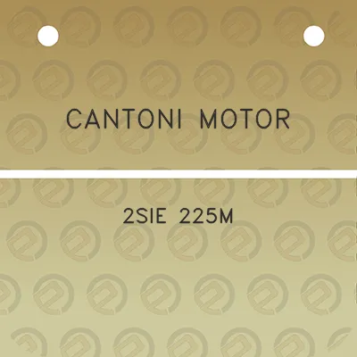 cantoni-motor-2sie-225m