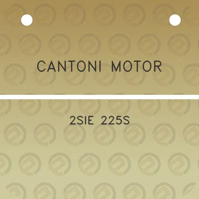 cantoni-motor-2sie-225s