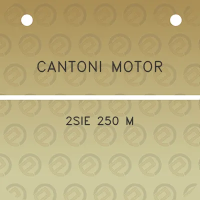 cantoni-motor-2sie-250-m