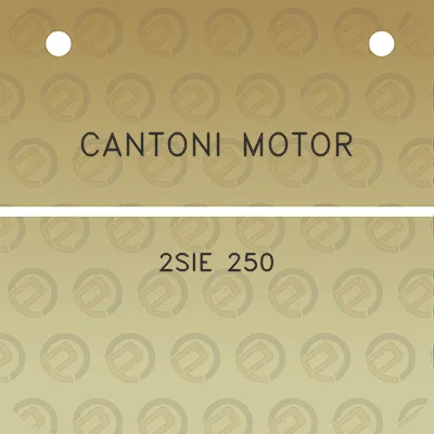 cantoni-motor-2sie-250